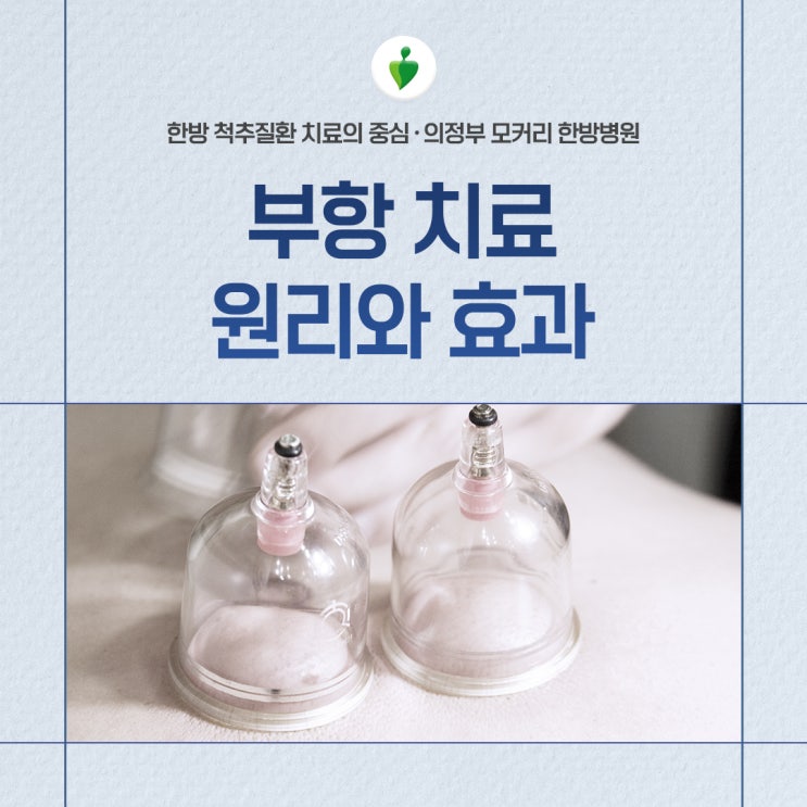  부항치료의 원리와 효과