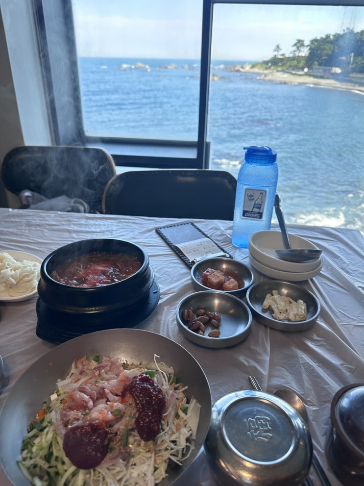  경주 감포 속초식 포항식 바다뷰 물회 맛집 돌고래횟집