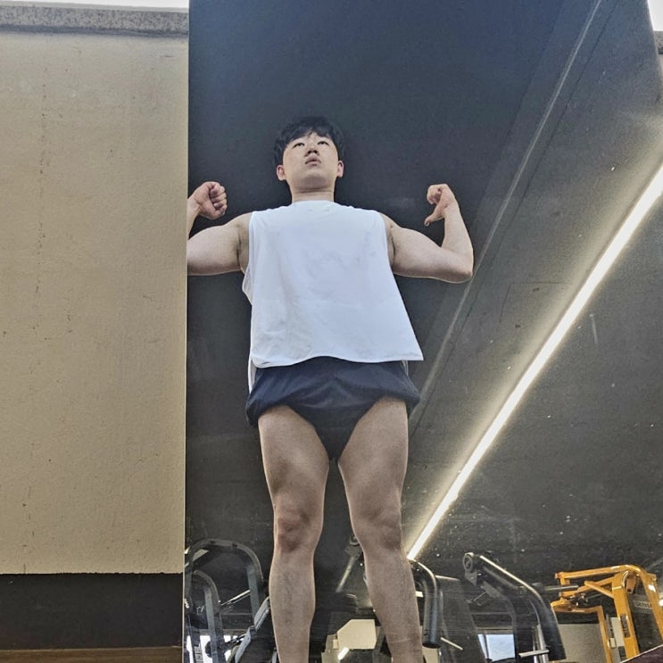 머슬핏 상체 등근육 240721 만드는 등 운동 머슬핏 상체 등근육 240721 만드는 등 운동