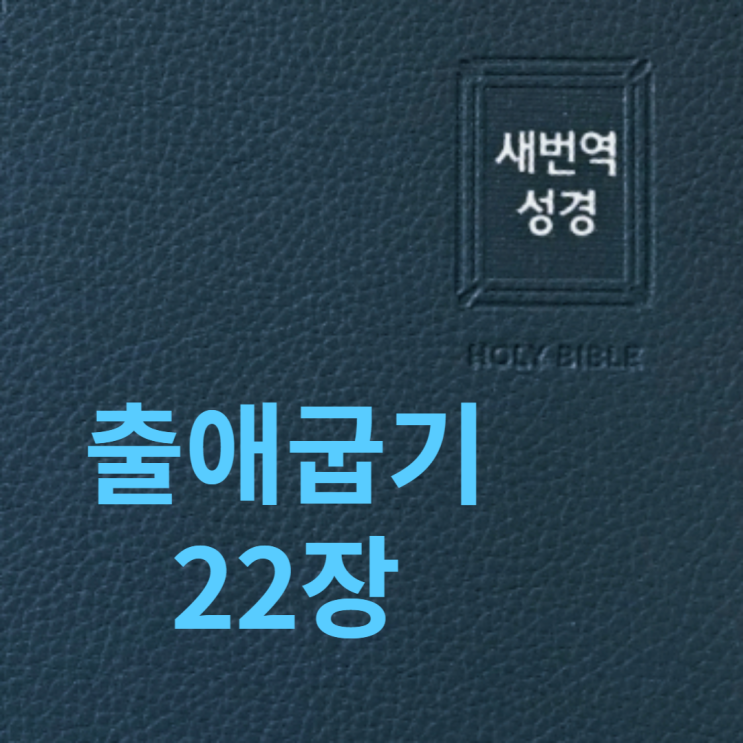 출애굽기 22장 출애굽기 22장