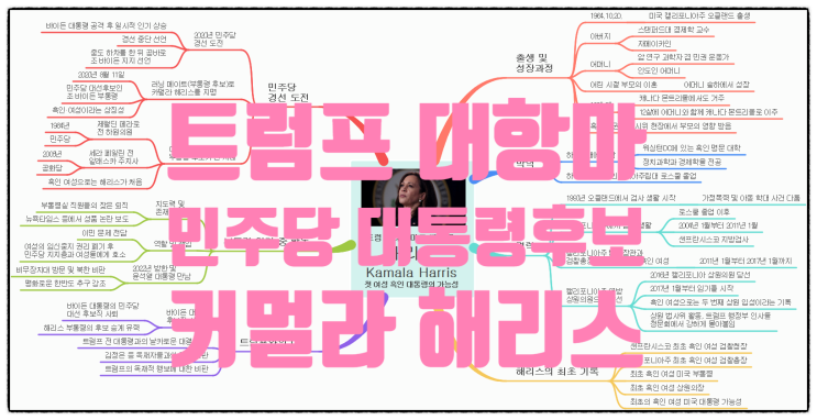 해리스, 첫 <b>여성</b> <b>흑인</b> <b>대통령</b>의 가능성: 트럼프의 대항마로 부상