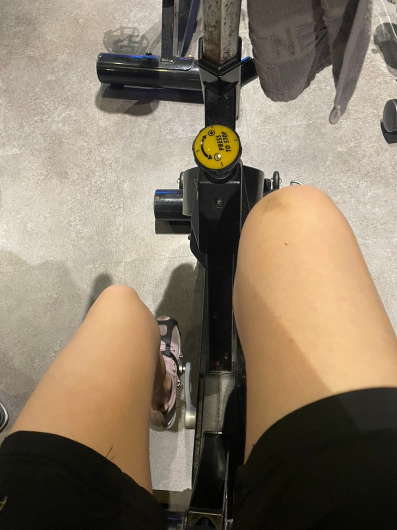 2025. 11. 19 ~ 11. 25 : LAIKA CINEMA, image size:800x1067