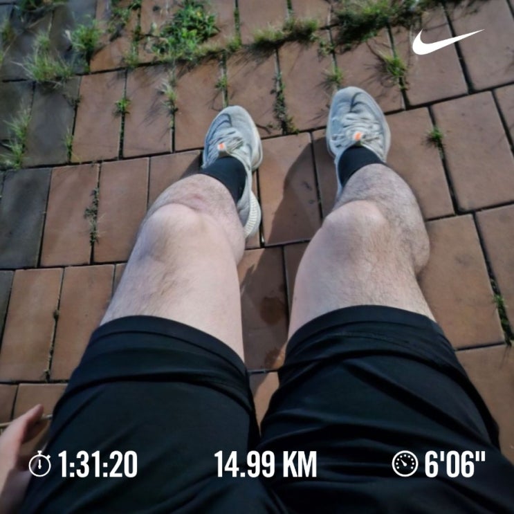 [챌린지]매일 10km  걷기/러닝 챌린지 1077일차