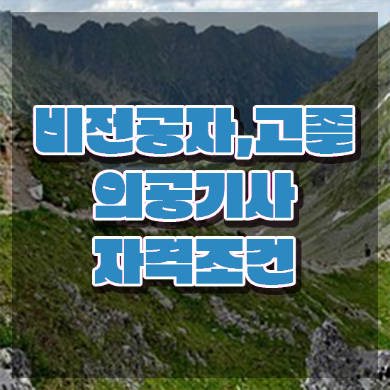 의공기사합격률 의공기사 시험응시자격 온라인으로 1학기에 성공한 비법