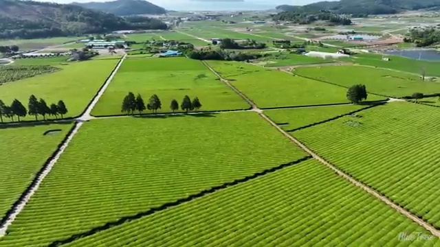  전주 사회복지사 공무원 시험 사회복지사2급 조건이 안돼도 학점은행제 활용하여 손쉽게
