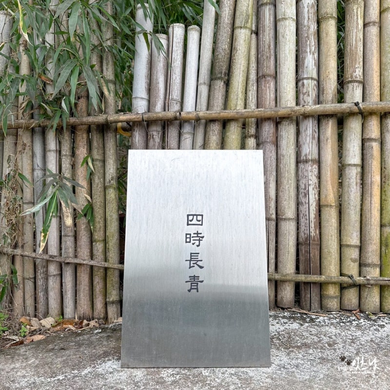 사진 5