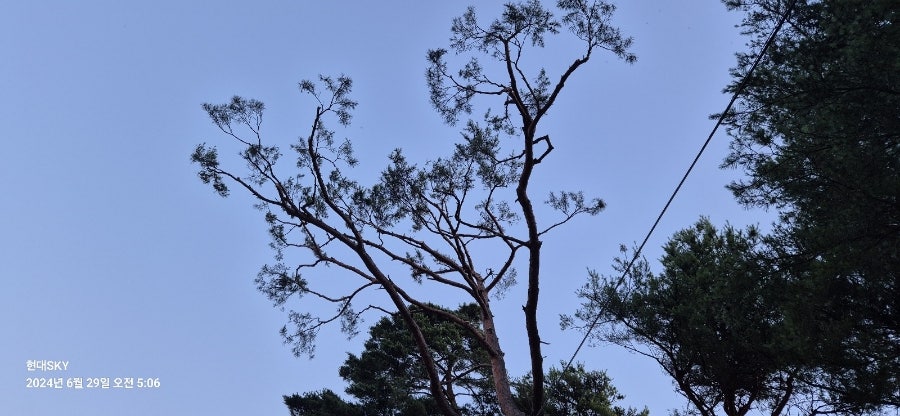 해찬솔펜션 사진 1