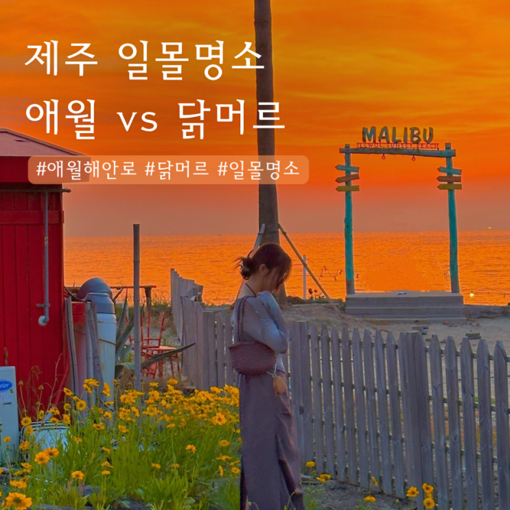  제주 일몰 명소 | 애월해안로 vs 닭머르 