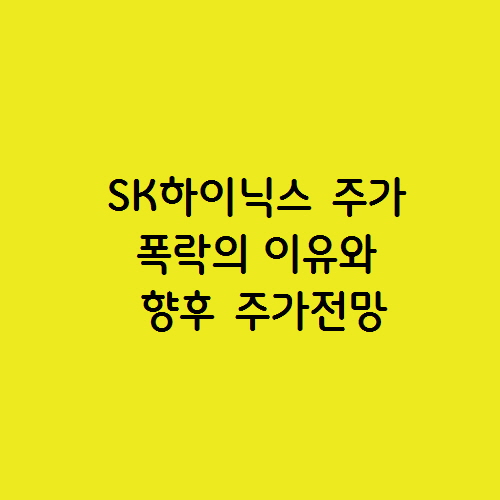 SK하이닉스 주가 폭락의 이유와 향후 주가 전망