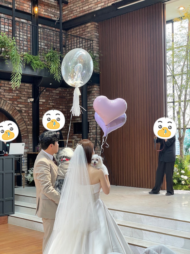 강아지 화동풍선 하트 김포 헬륨풍선