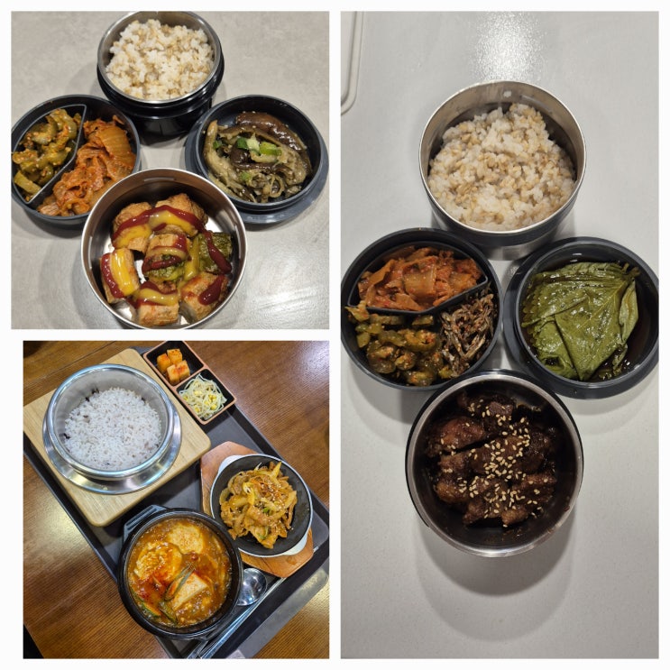  차에서 점심 먹는 남편 도시락 - 대충살고 싶다요 / 핫바 순두부찌개 돼지갈비
