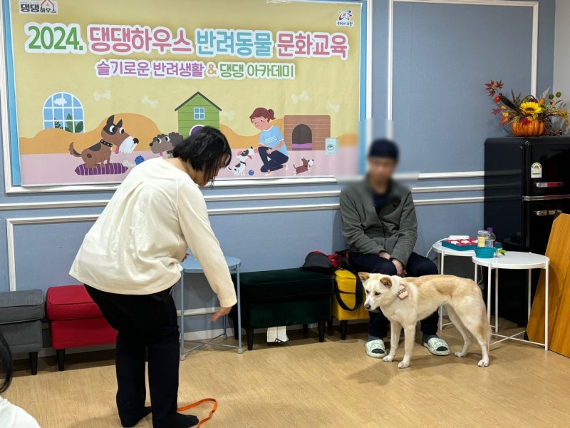 사진 5
