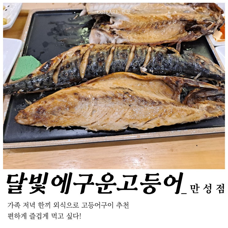  가족과 함께 건강한 고등어 구이 맛집 [달빛에 구운 고등어 만성점]