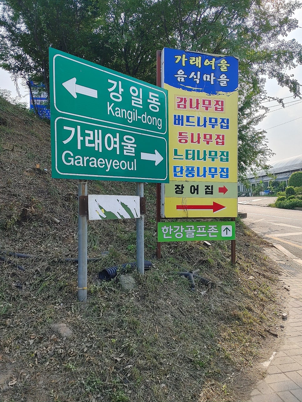 단풍나무집 사진 1