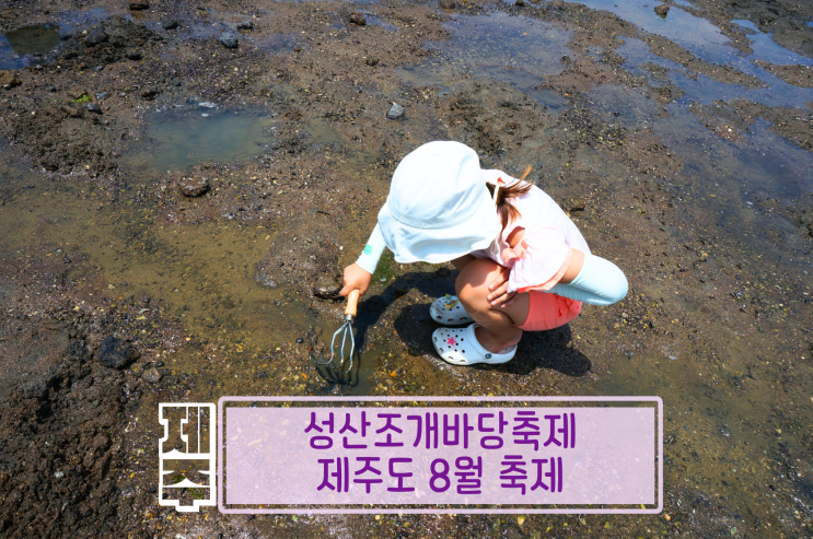  성산조개바당축제 참가 2024년 정보 제주도 8월 축제