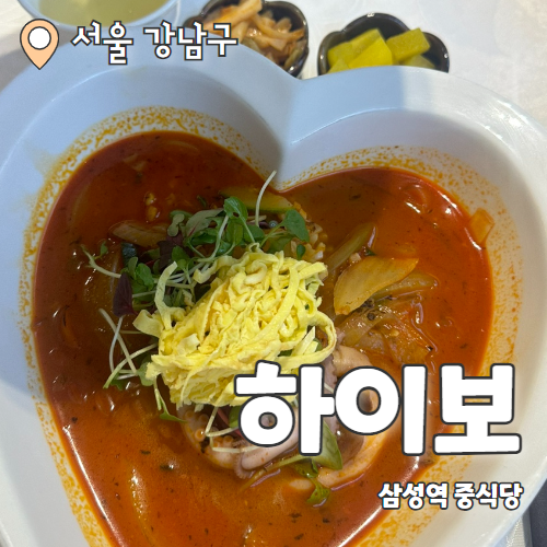  하이보 : 고급스러운 삼성역 중식당 맛집 내돈내산 후기