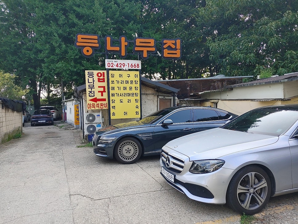 단풍나무집 사진 5