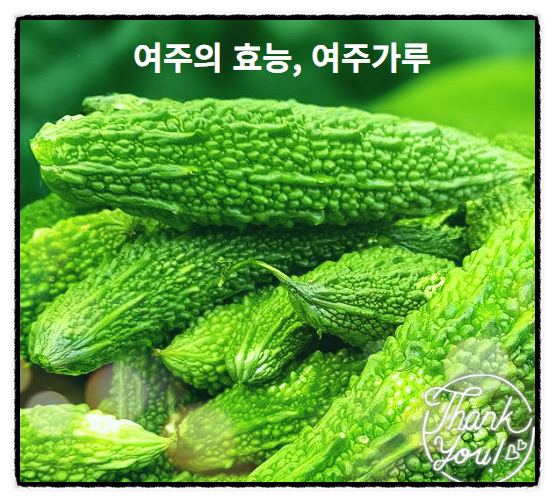  여주가루 효능 여주효능