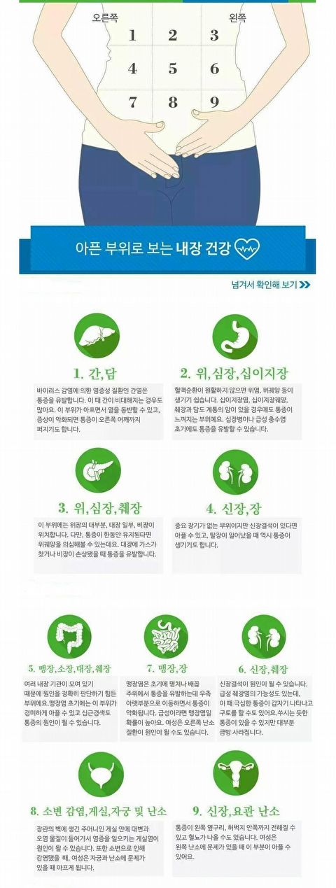  배 아픈 부위별 건강 상태
