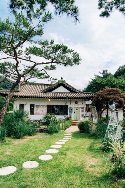 사진 5