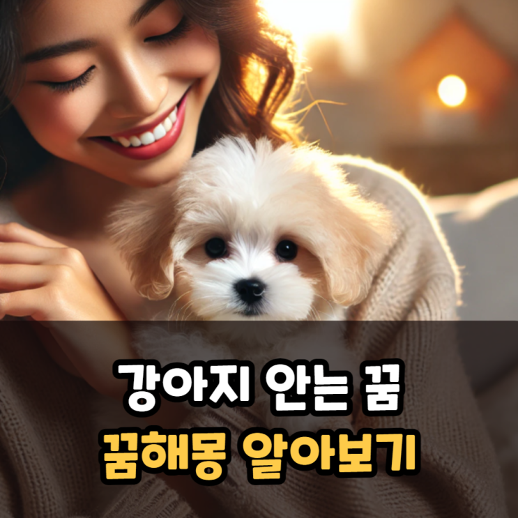  강아지 안는 꿈 꿈해몽 알아보기