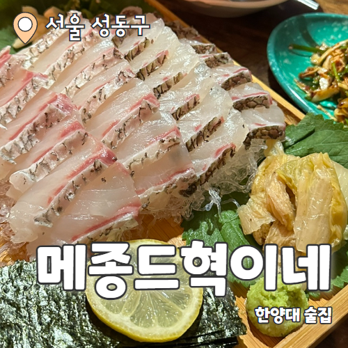  메종드혁이네 : 신선한 참돔한상 한양대횟집 내돈내산 후기