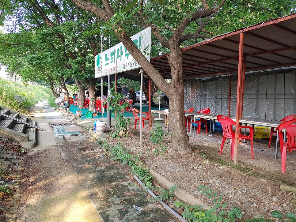 단풍나무집 사진 4