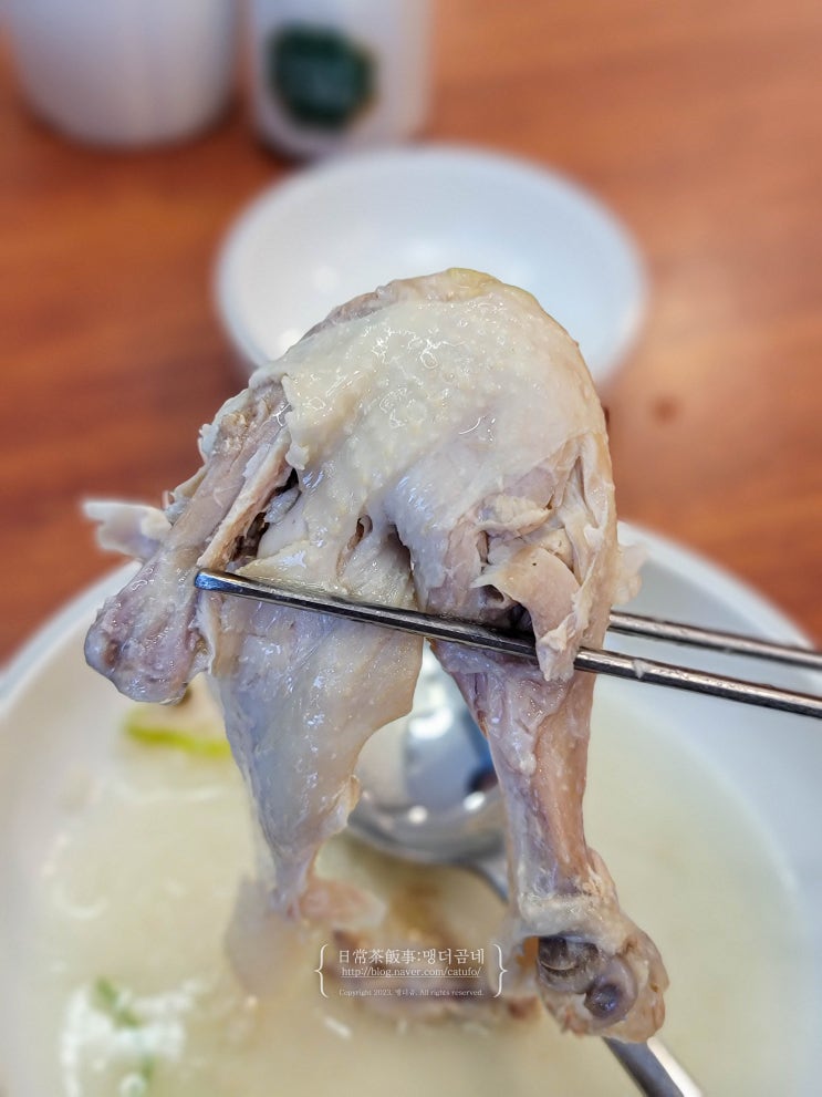  광주 삼계탕 맛집 장성 고려조삼계탕 본점 첨단 10분
