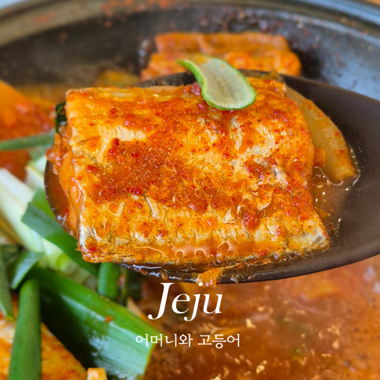  제주시 맛집 추천 반해버린 제주시 점심 맛집 어머니와 고등어 갈치조림