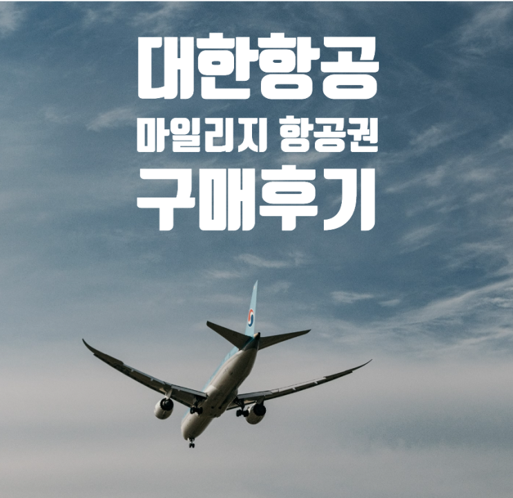  발리행 대한항공 마일리지 항공권 프레스티지(비즈니스) 항공권, 일반 항공권 구매 후기