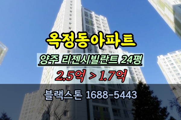  양주옥정신도시 리젠시빌란트 경매 24평