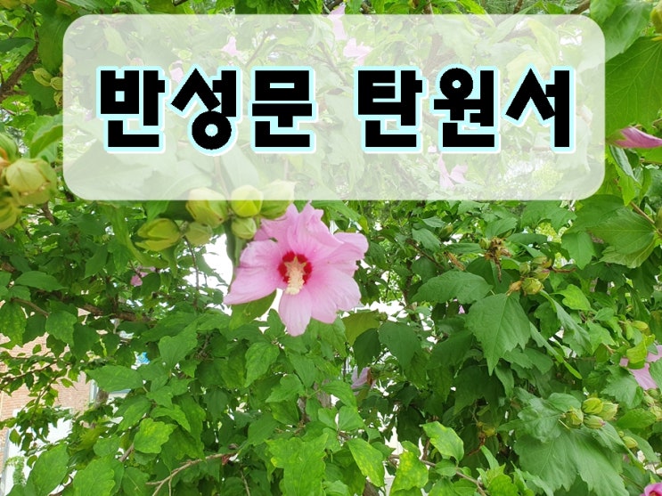  부산 진정서 엄벌 탄원서 반성문 작성 대필 전문 행정사 대행 사무소