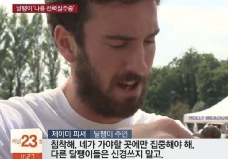 100가지 질문 100개의 답 백문백답