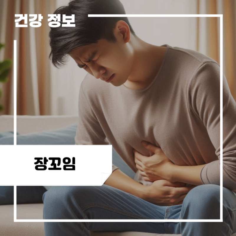 장꼬임 증상 치료 원인 : 어른 아기 장꼬임 증상