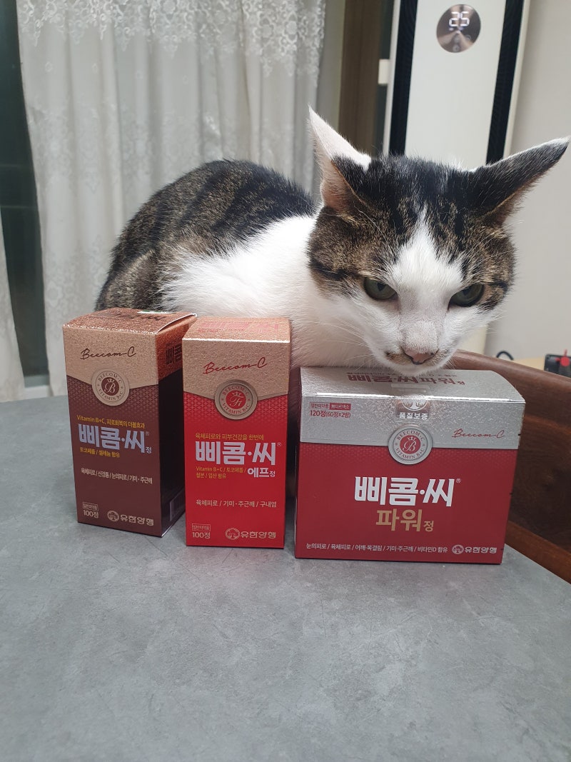 유한양행 삐콤씨 효능과 종류(파워, 에프), 가격