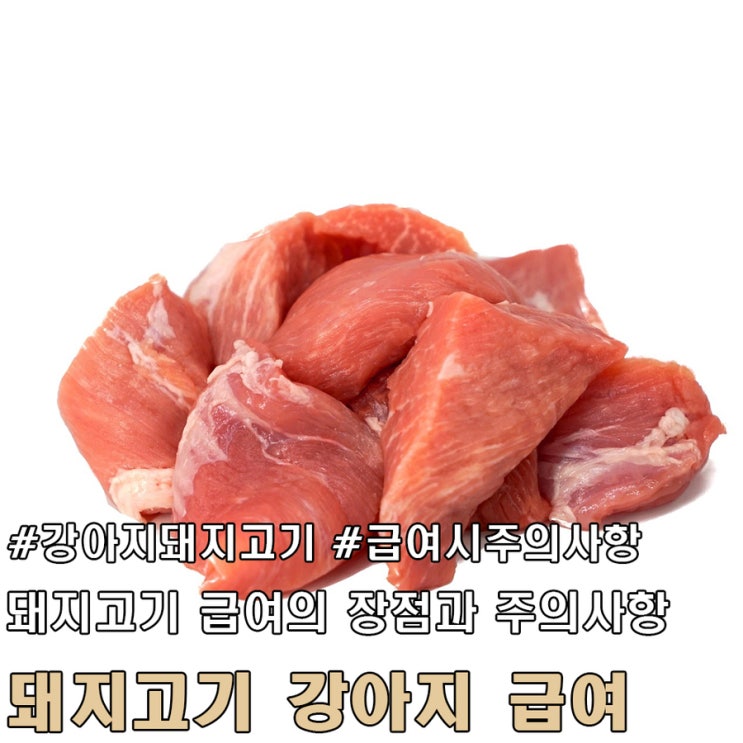  강아지에게 돼지고기 급여의 장점과 주의사항.