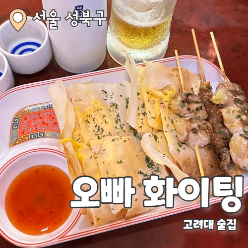  오빠화이팅 : 야키도리전문 이자카야 주점 안암역술집 후기