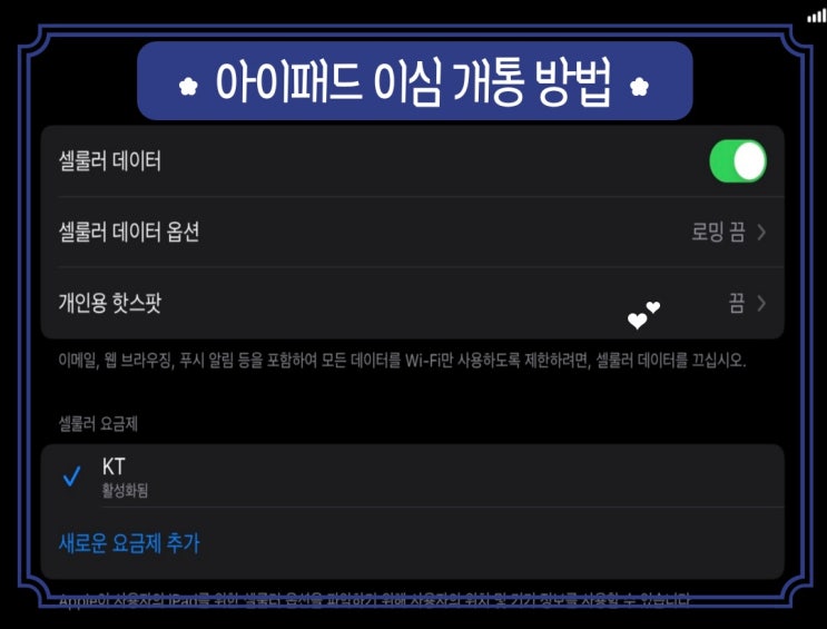  아이패드 프로 7세대 셀룰러 KT 데이터쉐어링 가입 이심 개통 방법