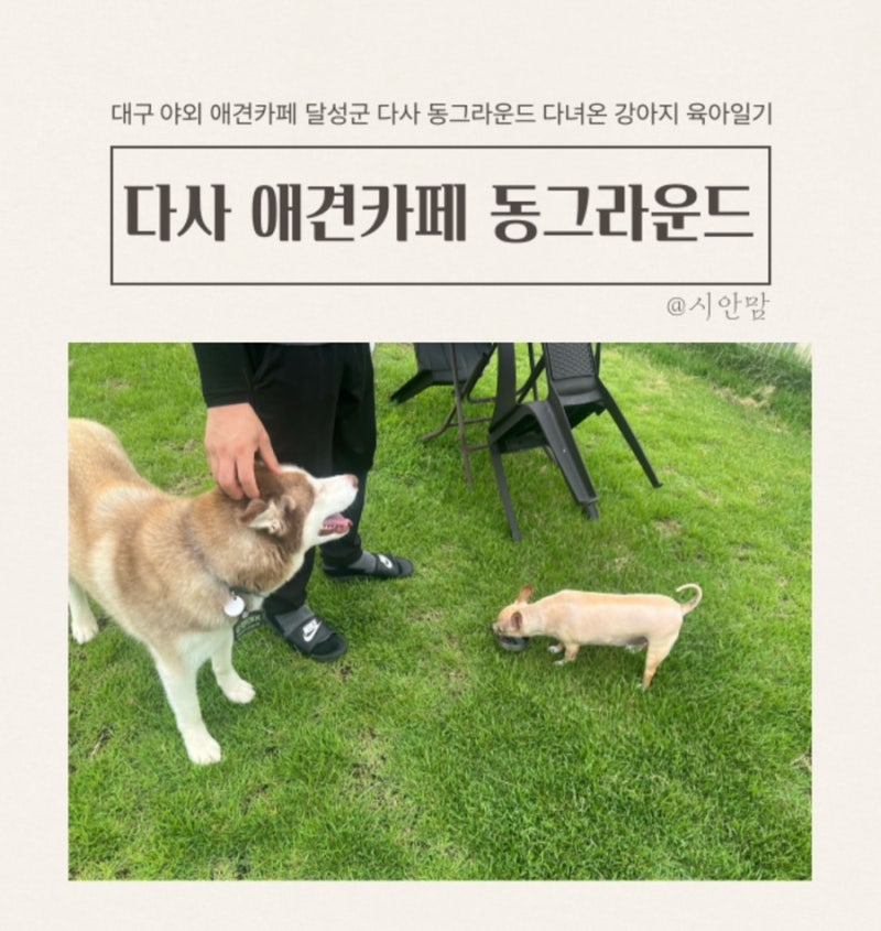 사진 3