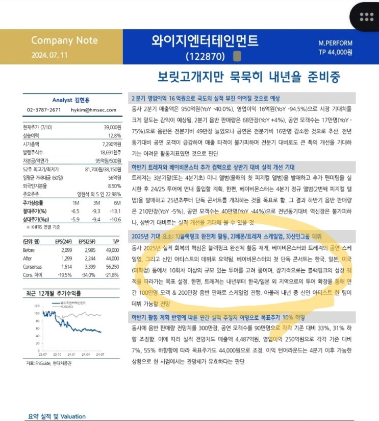 와이지 기업분석(+3 가볍게 트래킹)