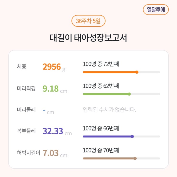  임신일기 36주 - 초음파, 첫 내진 그리고 태아 폭풍성장!