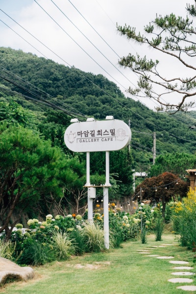 사진 6