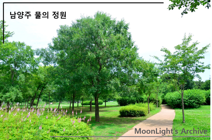  남양주 물의 정원 - 시원하게 펼쳐진 초록빛의 물결