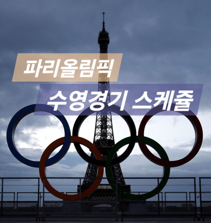 파리올림픽 수영 스케쥴