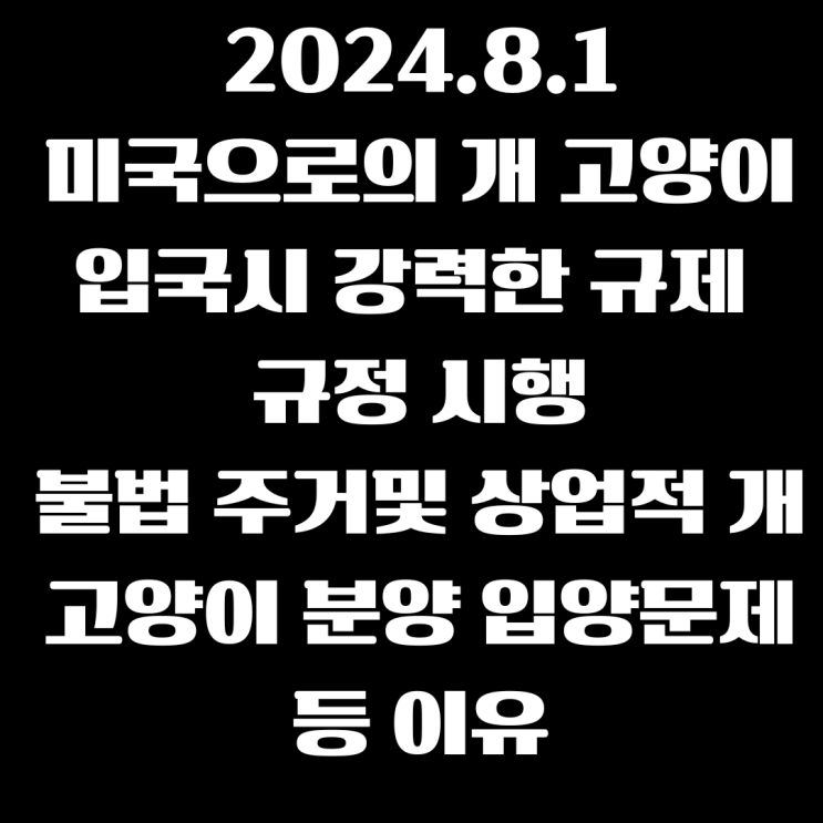 24년8월1일 개(강아지)  미국 입국시 강력한 검역 세관 규정 변동 꼭! 체크하세요 강아지 고양이 미국 규정 변경 강아지 미국 검역규정 "CDC, 2024년 8월 1일부터
