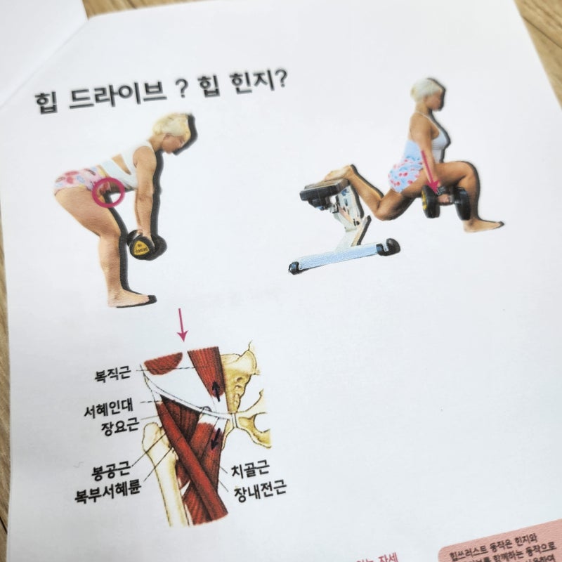 엉마누 둔근 세미나 (with 범슐렉 김영범 보디빌더, 근해수 떡형)