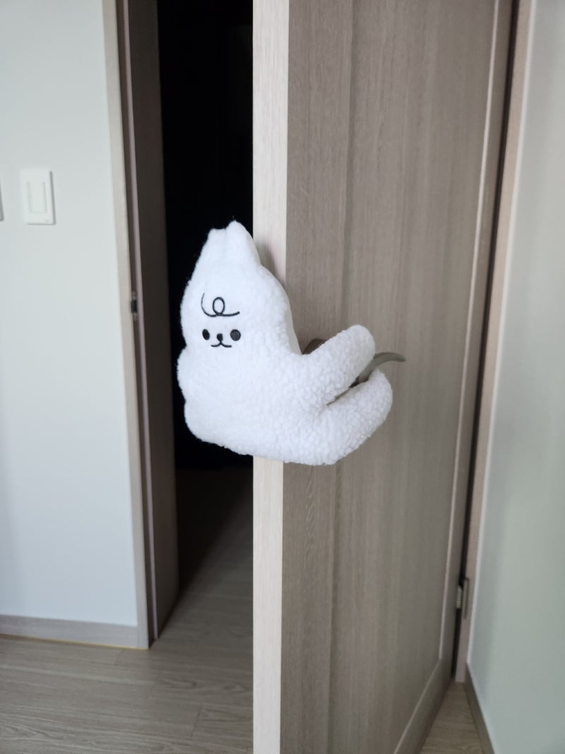 [인형 도어스토퍼] 문 닫힘 방지 방문 도어스토퍼 '내돈내산' 후기