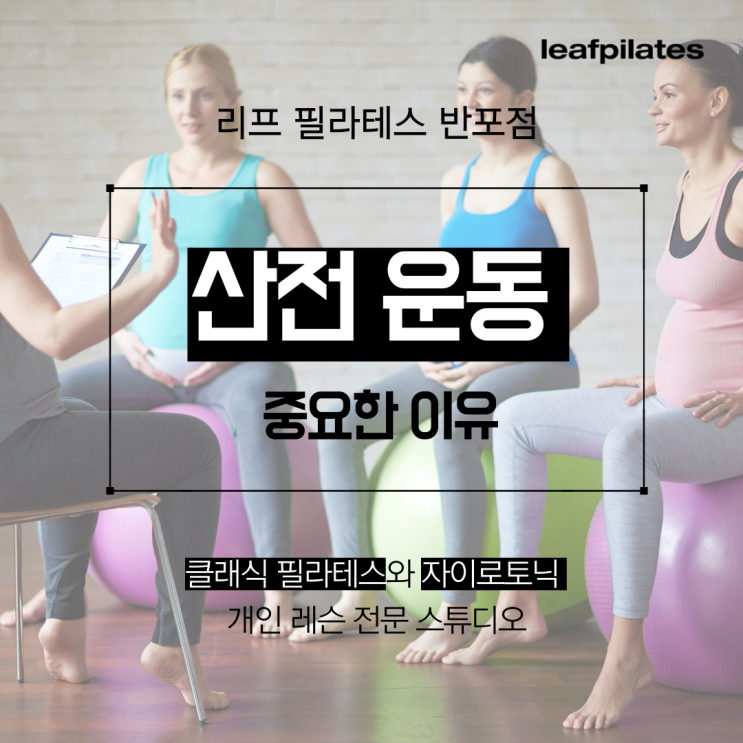  [원베일리 필라테스] 산전 운동의 중요성/ 반포필라테스 리프