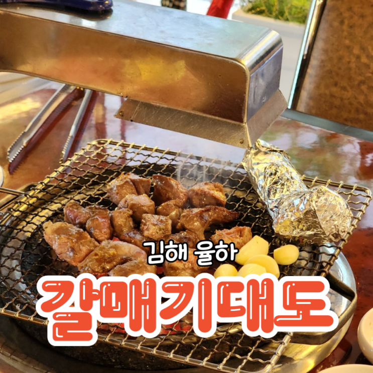  김해롯데워터파크맛집 다자녀 외식은 갈매기대도 율하점