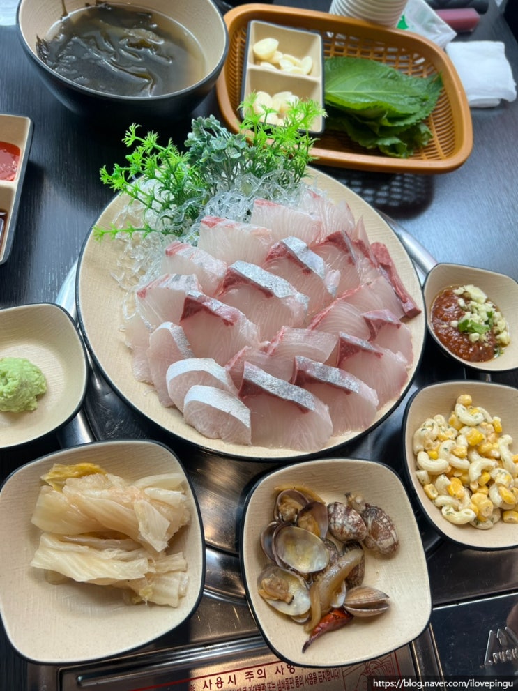  숙성회 찐 맛집 신당역 상왕십리 맛집 이도